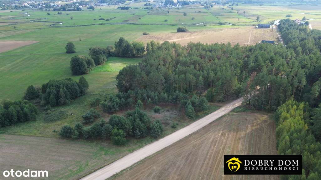 /OGS - Pełny obrazek: 4/7