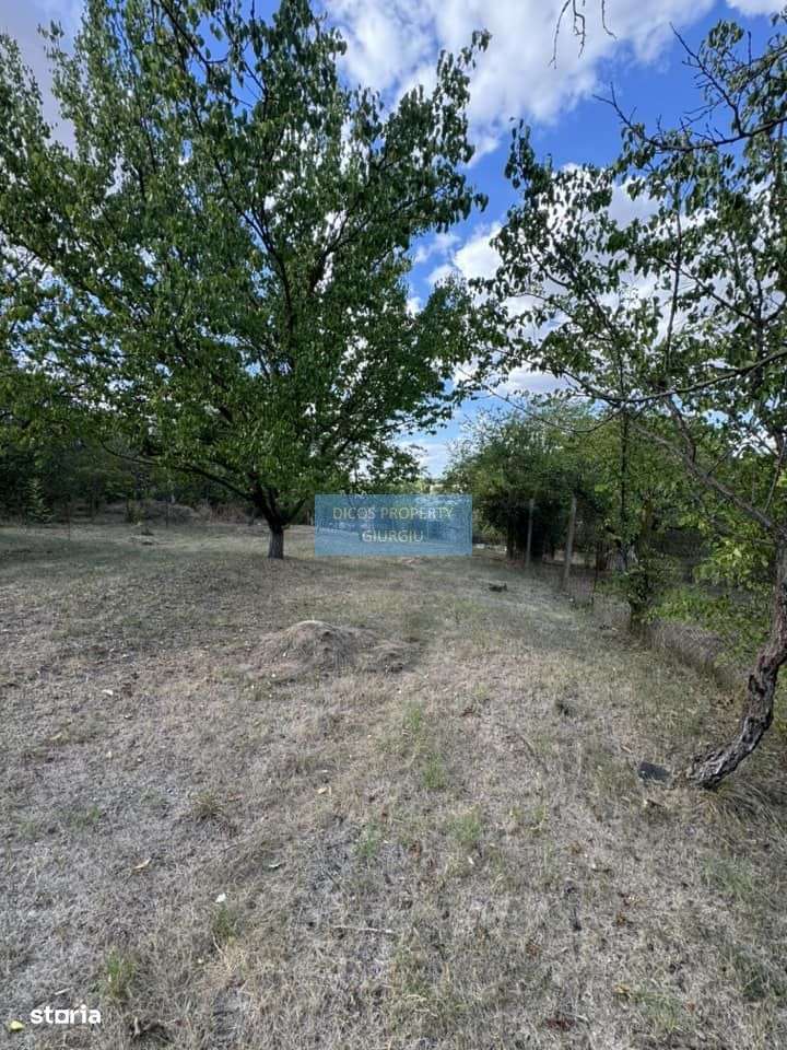 DE VANZARE Teren intravilan Comuna Daia,Jud Giurgiu - Imagine principală: 2/5