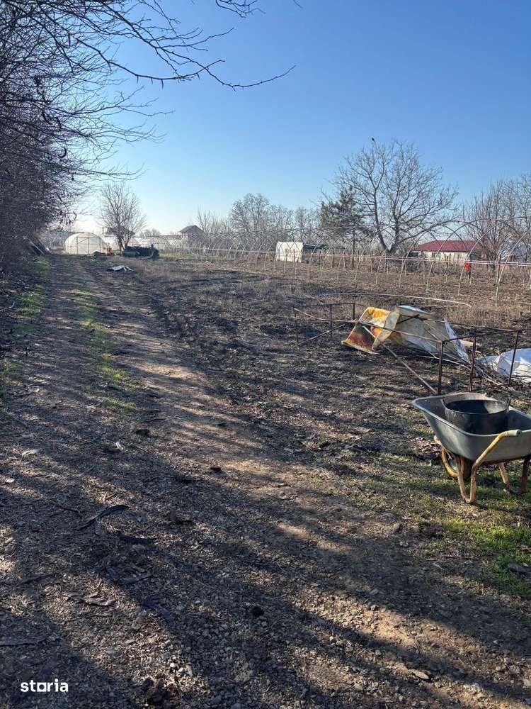 De Vanzare Loturi teren zona Cazasu - Imagine principală: 3/3