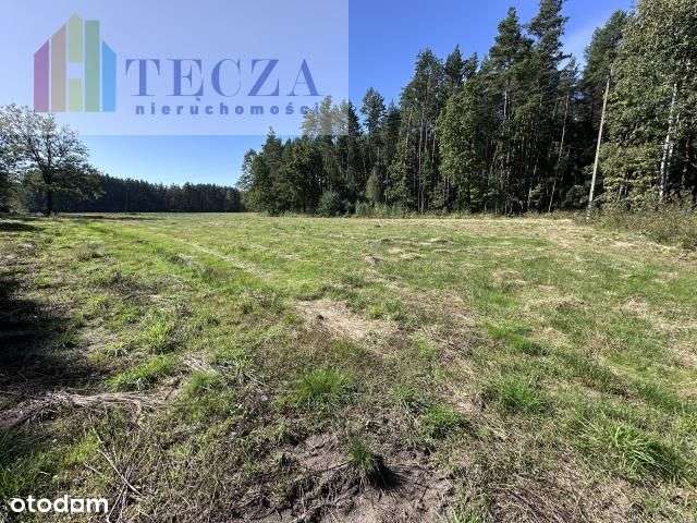 8 działek Budowalnych z wydanymi Wz,Borucza,gm.Str - Pełny obrazek: 5/12