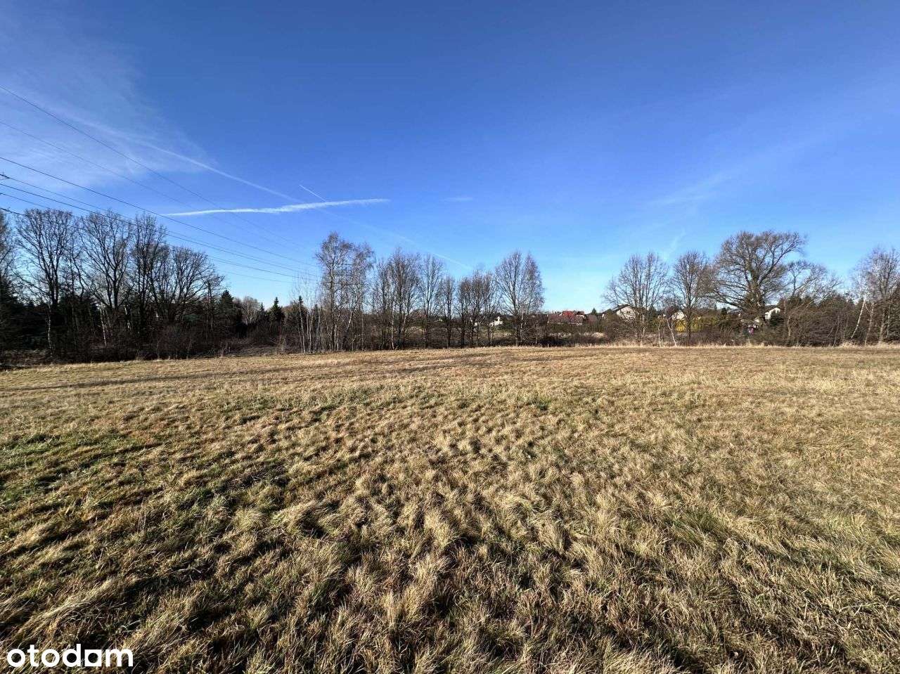 Stara Wesoła, działka 1,4ha - Pełny obrazek: 5/15