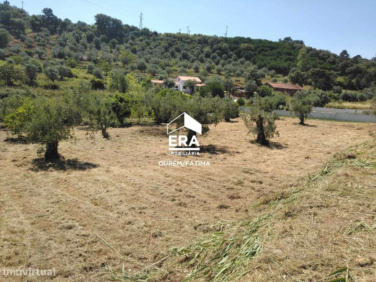 Terreno para Construção perto de Ourém - Grande imagem: 3/9
