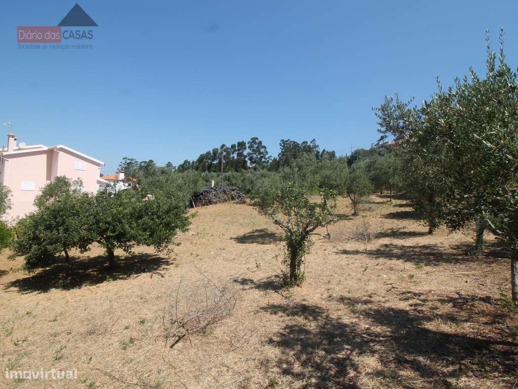 Terreno com viabilidade de construção - Grande imagem: 5/6