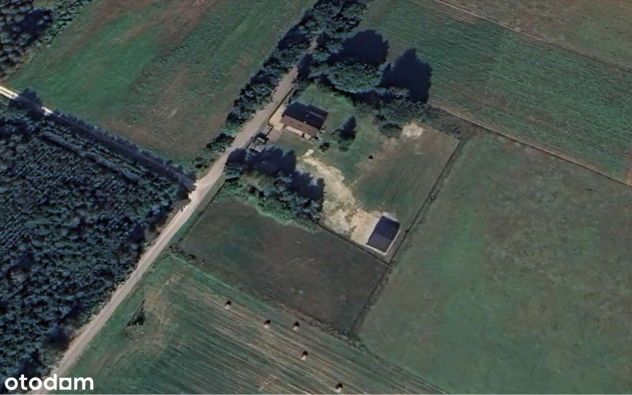 Na sprzedaż działka pod lasem w cichej okolicy | Rudniki - Kolonia. - Pełny obrazek: 2/6