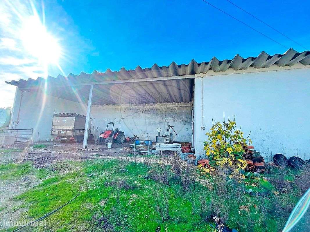 Quinta  para venda-31