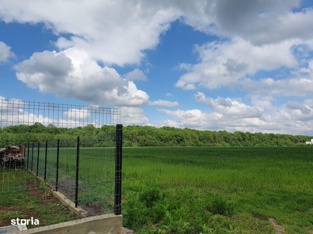 IZVORANI COR, Snagov, lipit de padure, zona de vile noi