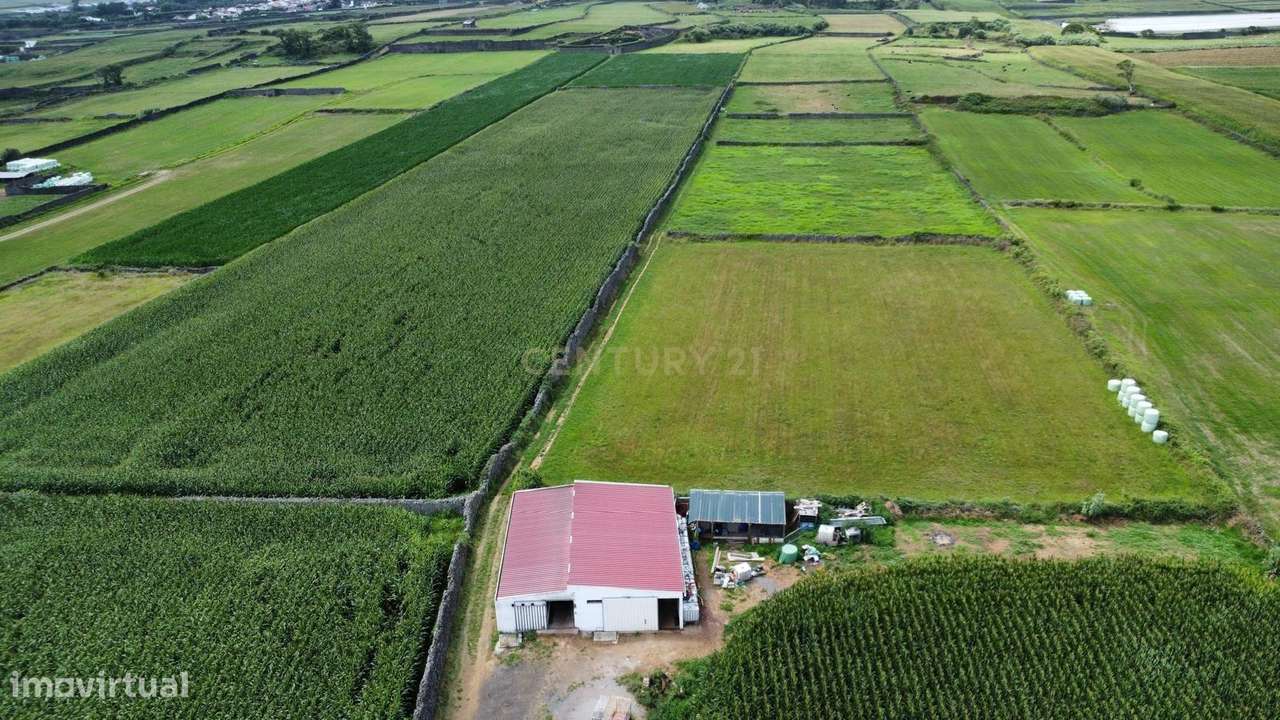 Terreno Agrícola Plano com 6.240 m² | Excelente Exposição Solar | Calh - Vista 5