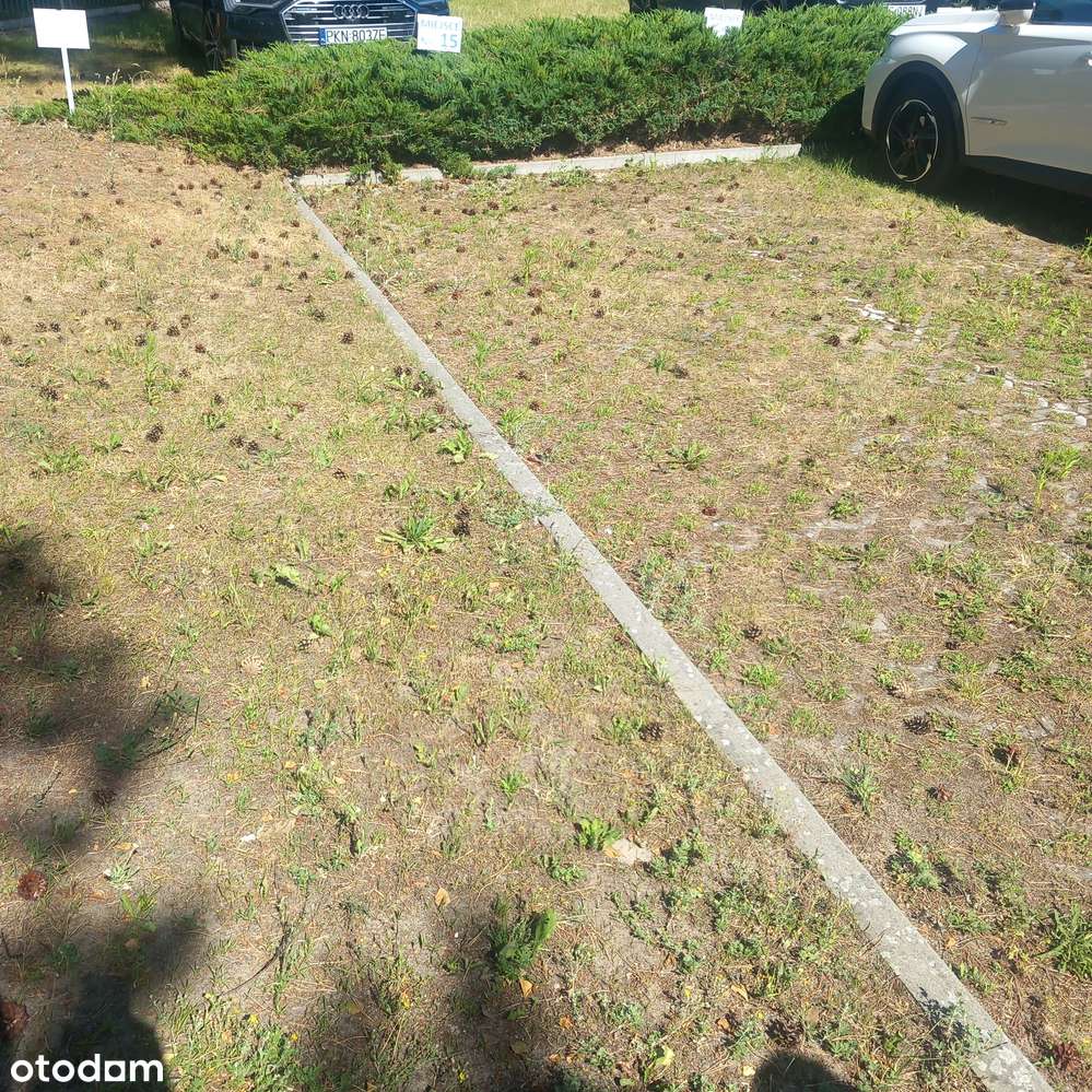 Wyposażone mieszkanie z parkingiem i piwnicą 600 m od plaży, w lesie-14