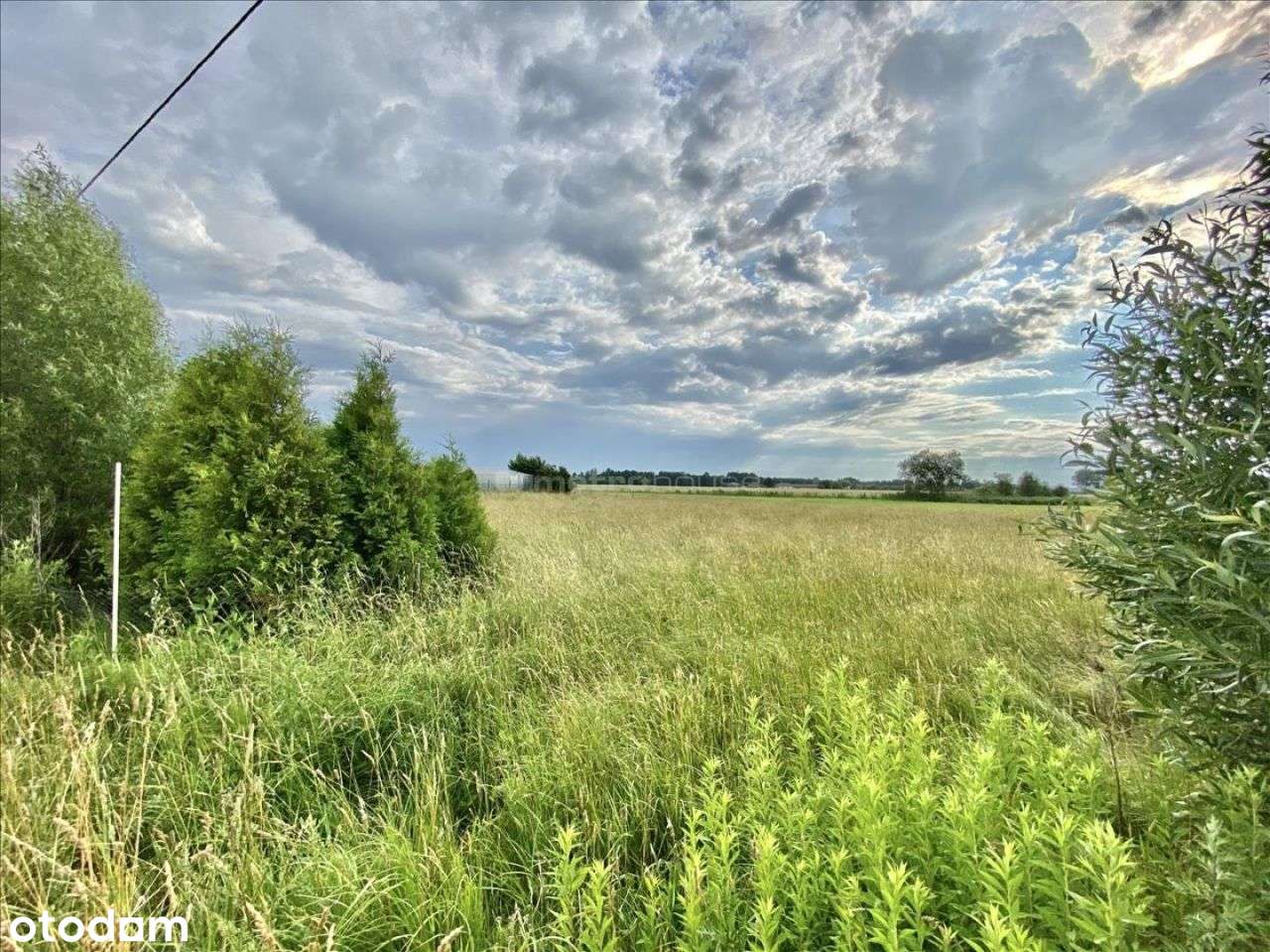 Działka na sprzedaż! - Pełny obrazek: 4/9