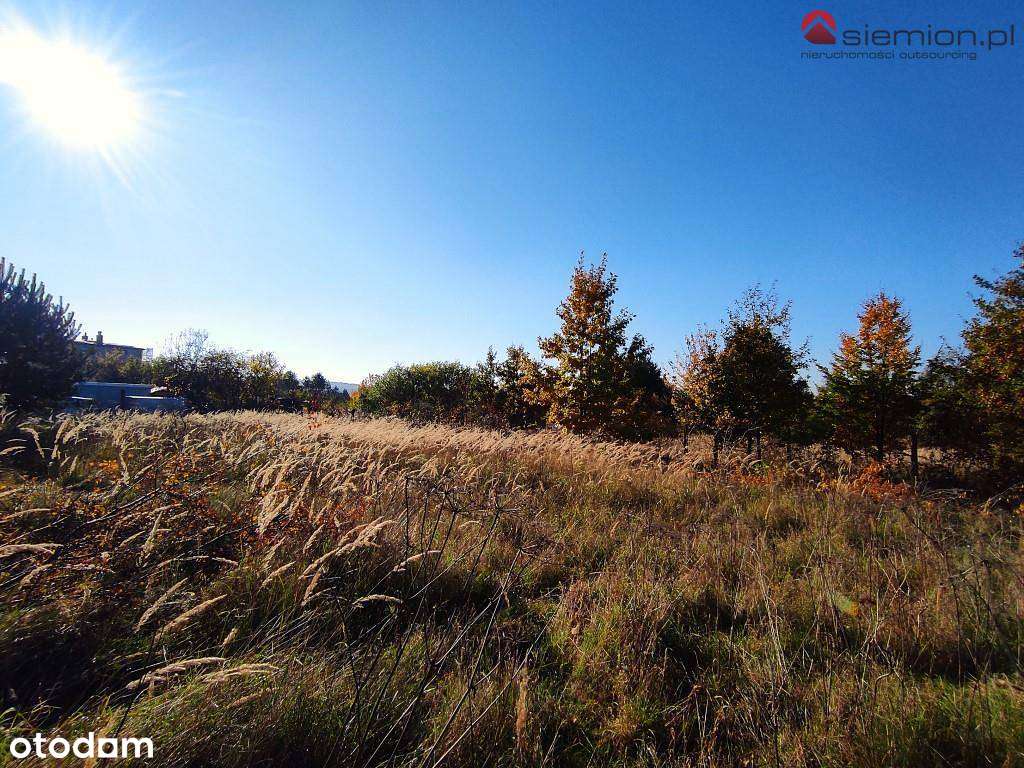 Atrakcyjna działka budowlana Rogoźnik-7