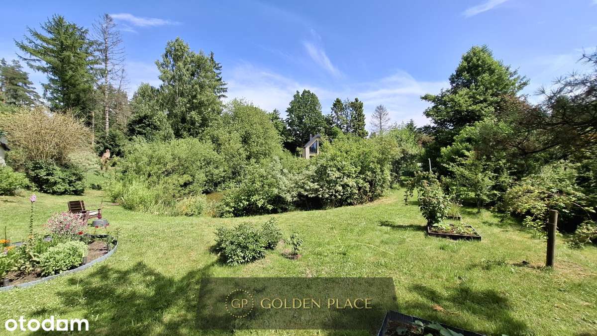 Działka nad jeziorem ze stawem - Pełny obrazek: 5/20