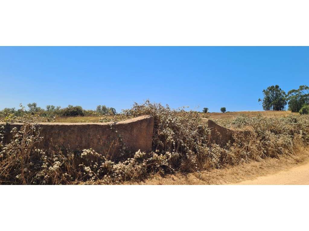 Monte Alentejano-3