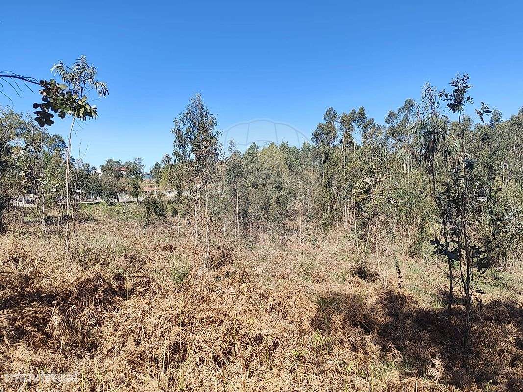 Terreno  para venda - Grande imagem: 3/12