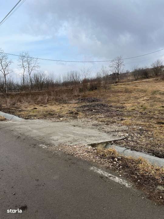 Teren Rascruci, 1250mp, front la 2 strazi 50m si 30m - Imagine principală: 4/6