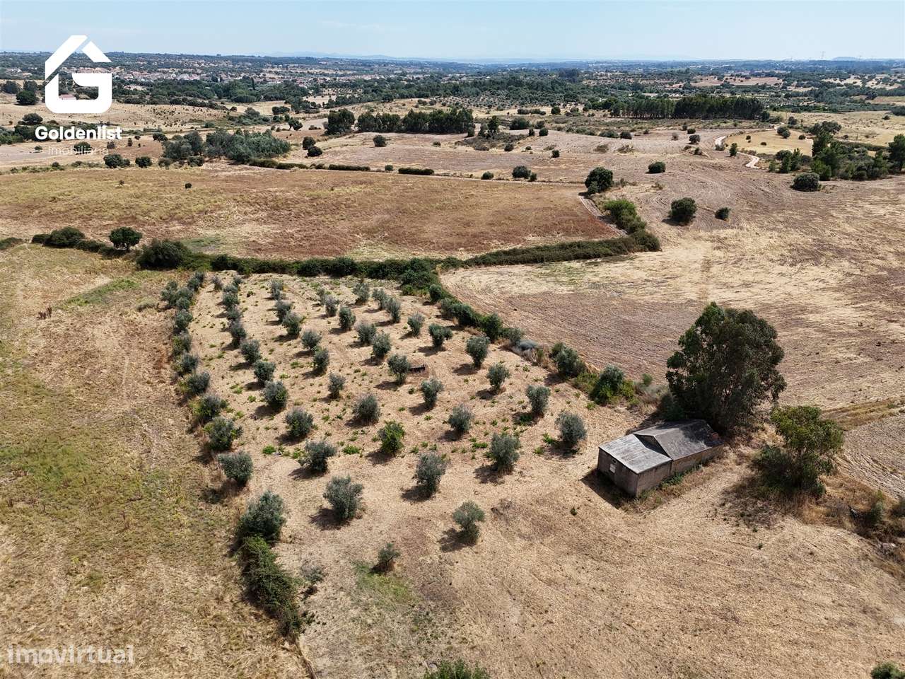 Quintinha  Venda em Escalos de Cima e Lousa,Castelo Branco-3
