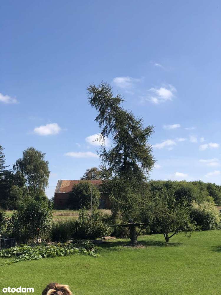 Działka z linią brzegową + Pozwolenie na budowę - Pełny obrazek: 4/9