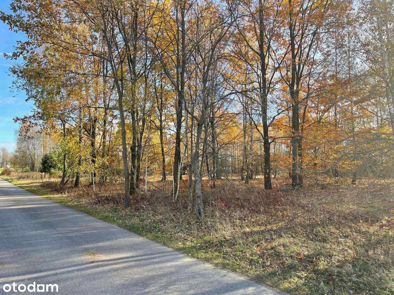 Dz. Budowlane (WZ) Warunki Zabudowy, Iwowe gm Borowie, pow Garwoliński - Pełny obrazek: 1/14