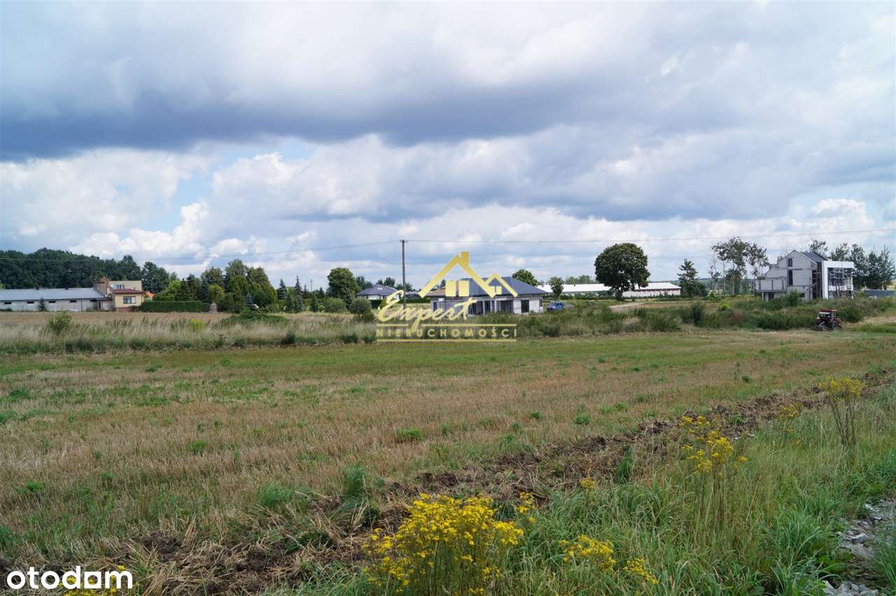 Działka budowlana z pełnym uzbrojeniem - Pełny obrazek: 5/5