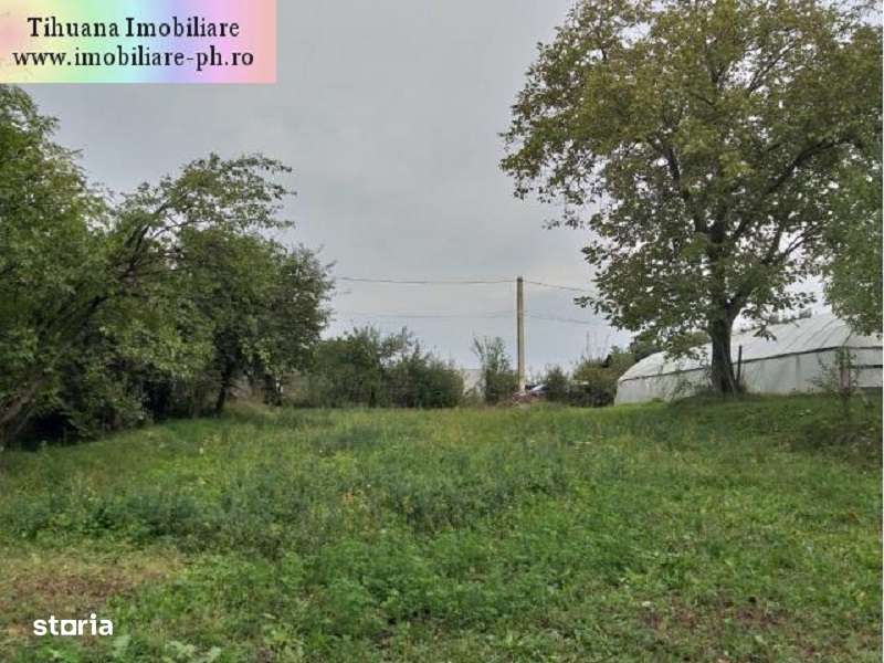 Teren de vanzare - Baicoi(Central) (intre case,gaze,curent,canalizare) - Imagine principală: 2/6