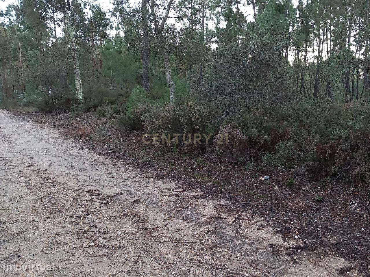 Terreno Rustico Vale Chiqueiro - Grande imagem: 5/7