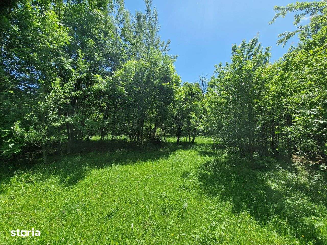 Teren intravilan Comarnic cartier Podul lung langa padure-3