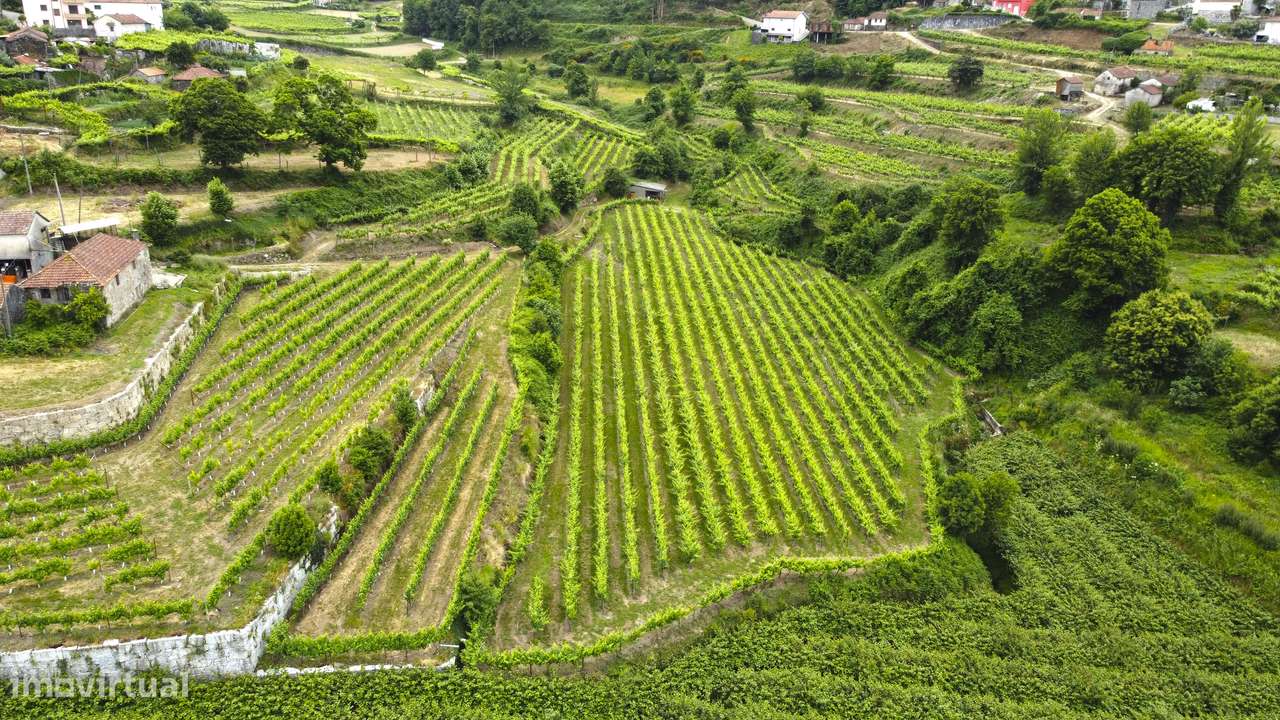 Quinta Eira Vedra Lixa - Grande imagem: 5/51