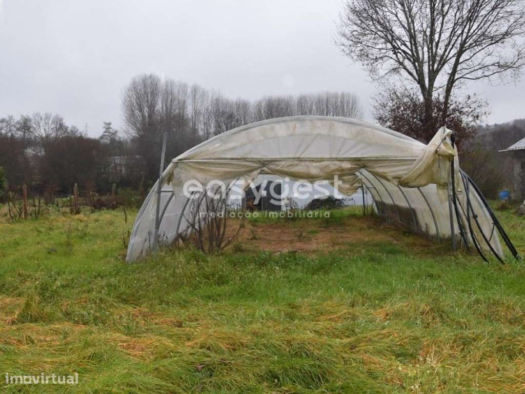 Terreno de exploração agrícola, localizado em Coutos de Viseu - Grande imagem: 4/25