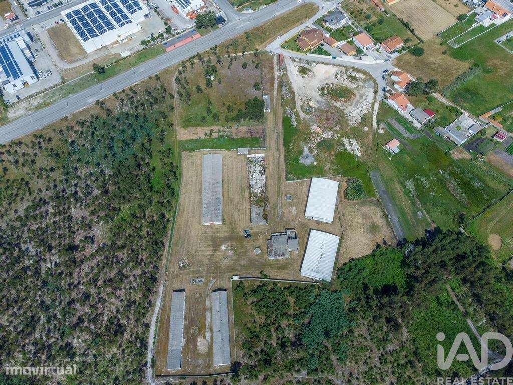 Terreno industrial em Vieira de Leiria - Grande imagem: 2/7