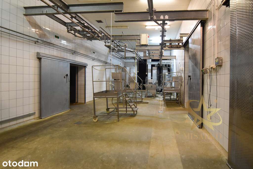 Ubojnia w Grajewie z wyposażeniem - Pełny obrazek: 4/20