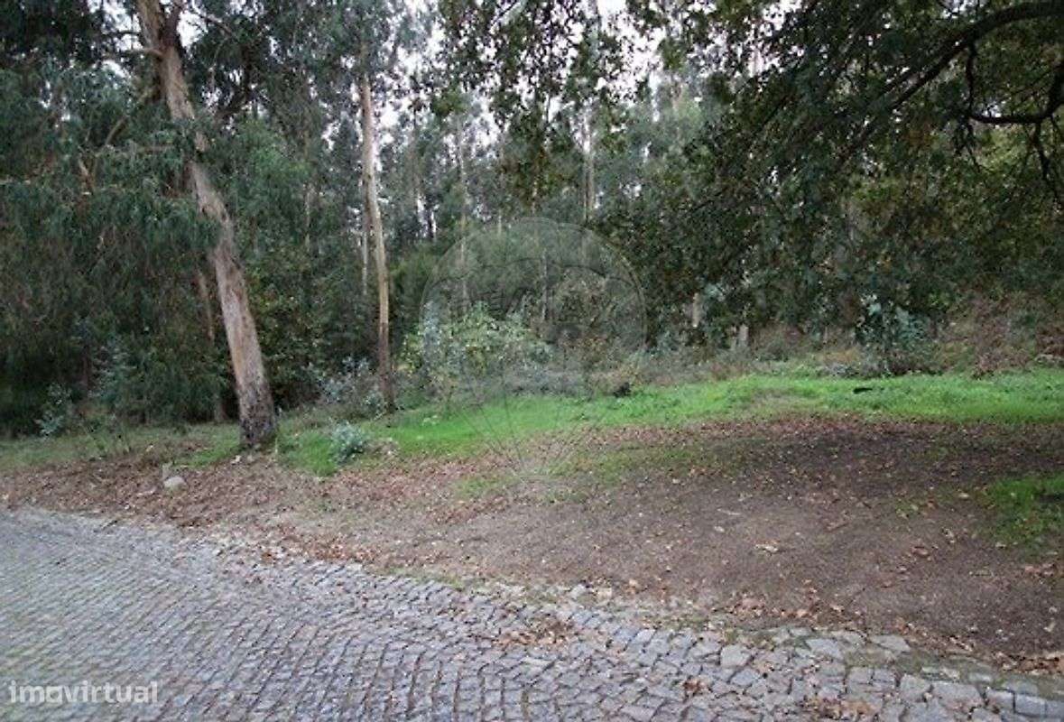 Terreno  para venda-5