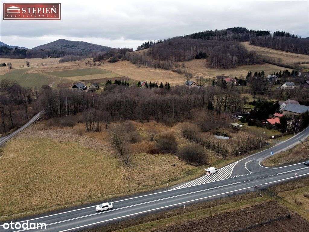 Działka, 7 552 m², Bolków - Pełny obrazek: 4/16