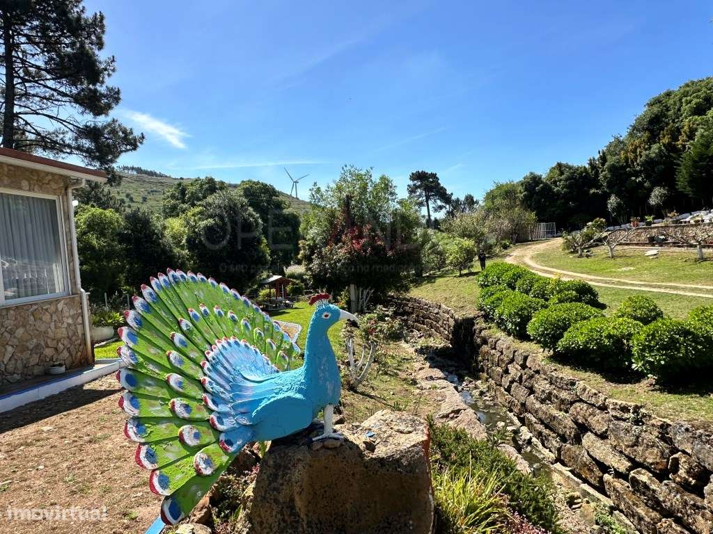 Quinta - Quintinha - Moradia-20