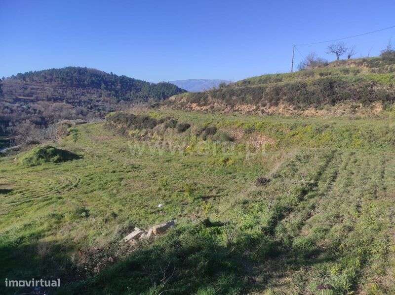 Terreno / Fundão, Alcongosta - Grande imagem: 4/12