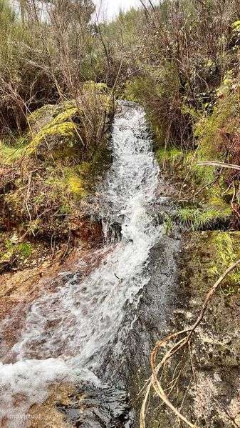 Oportunidade Única de Investimento: Refúgio de Luxo em Unhais da Serra - Grande imagem: 4/6
