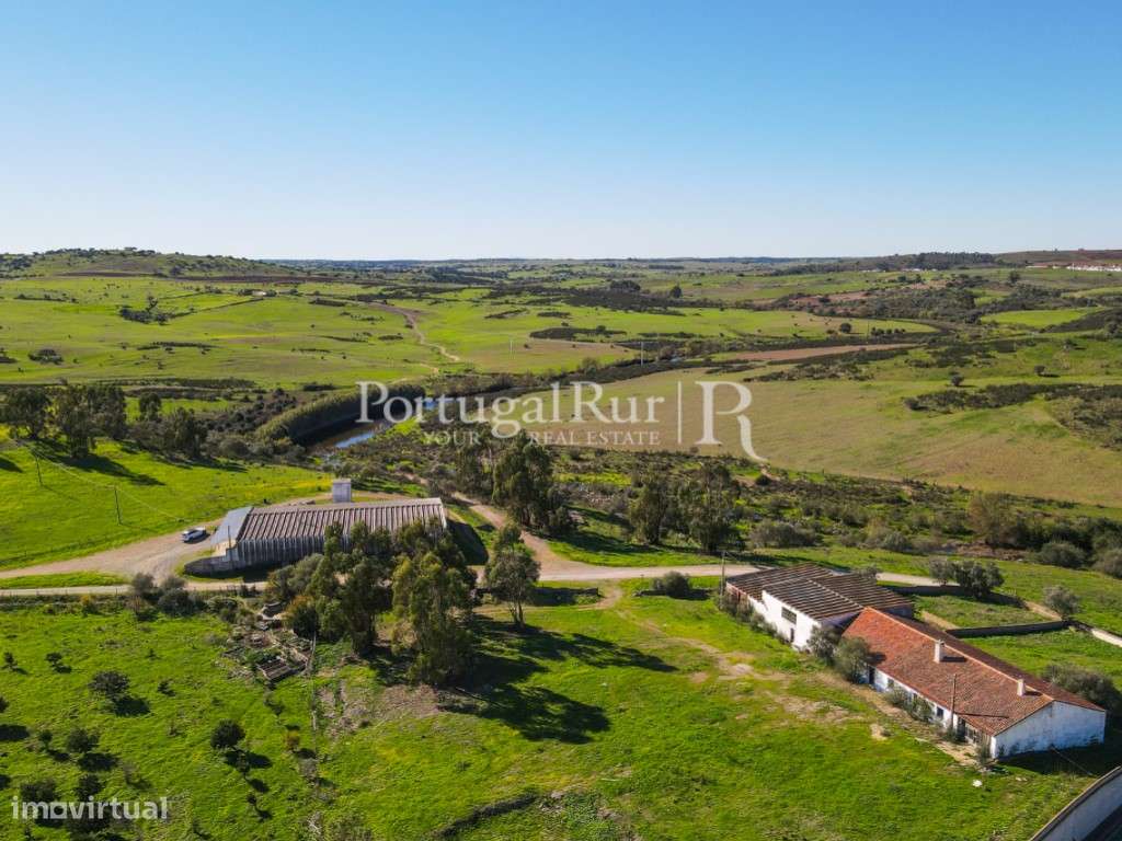 Herdade com 53 hectares em Castro Verde - Grande imagem: 5/59