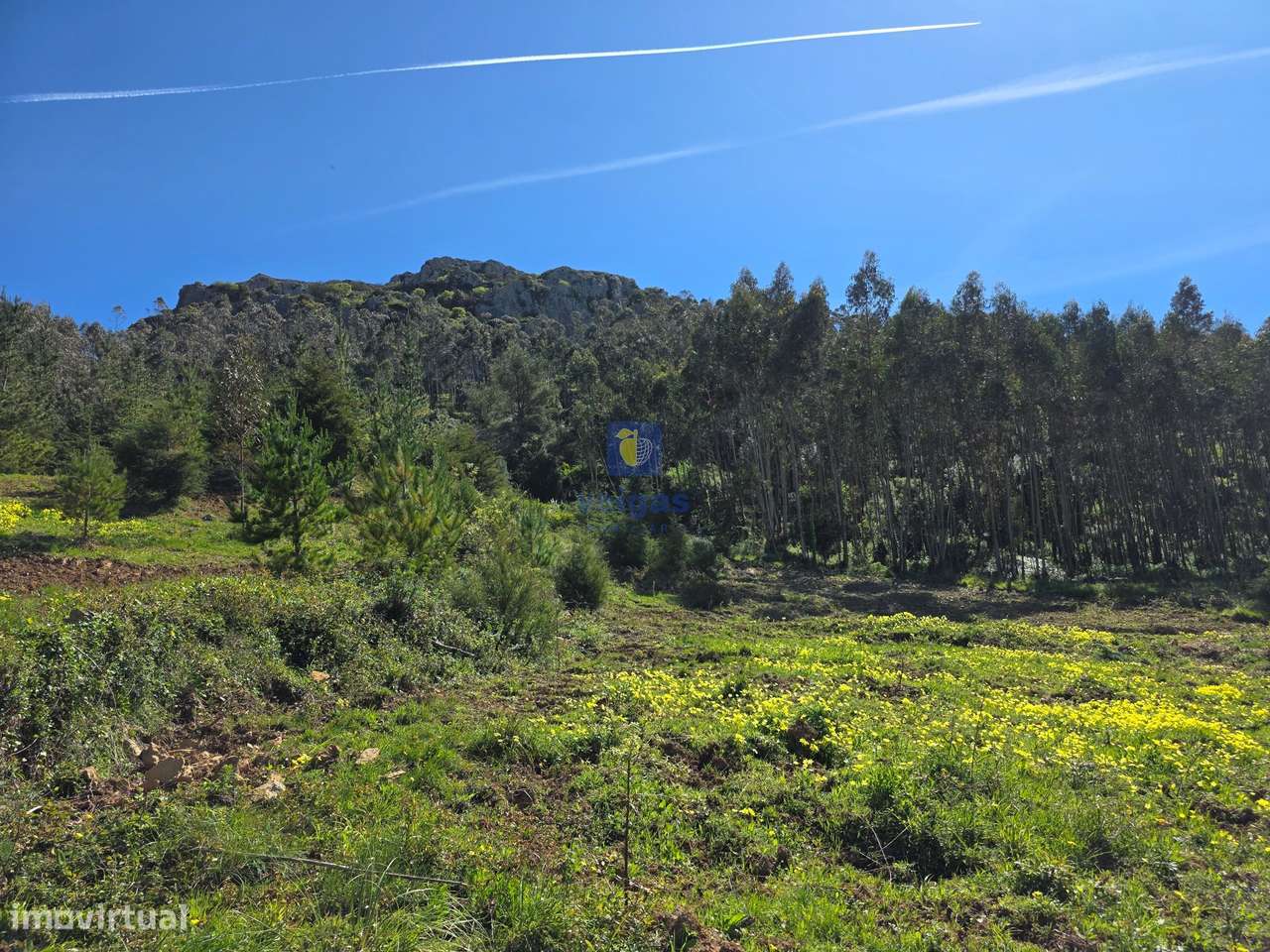 Terreno com 5.200m2, com viabilidade para construir 1 ou 2 casas até 3-3