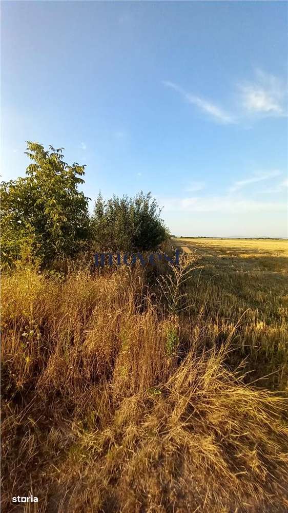 De vanzare teren extravilan - Imagine principală: 2/7
