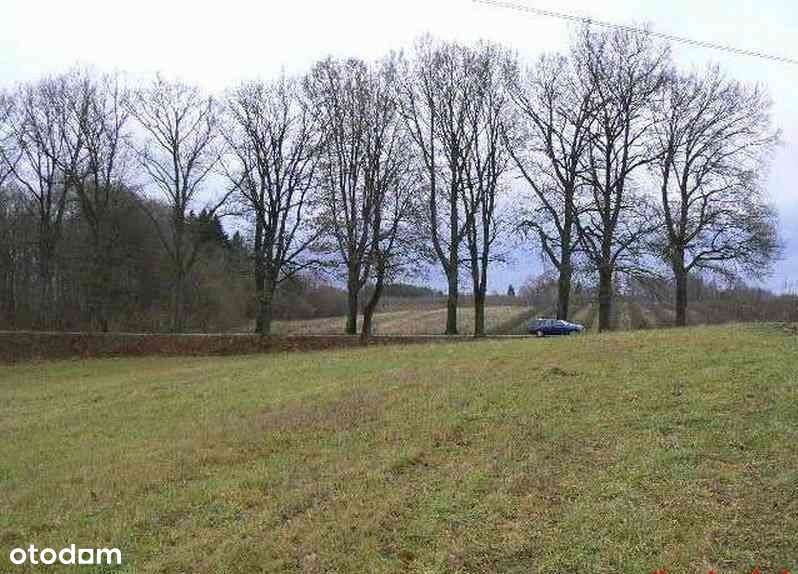 Świdwin . Działka 3100 m2 . Las . Jezioro . Morze.-4