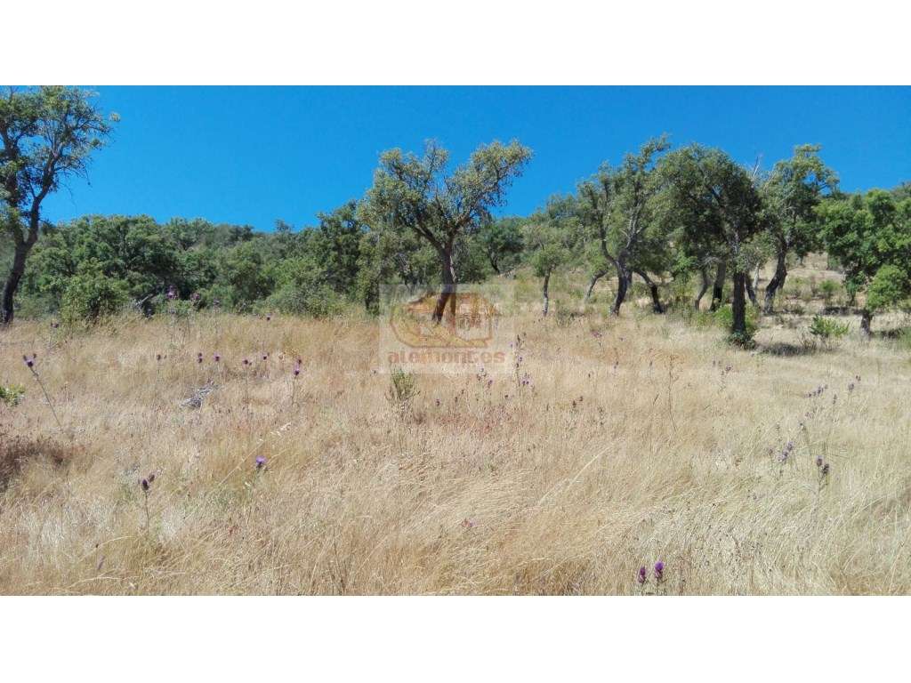 Terreno com 12,6ha com vista de mar - Melides - Grande imagem: 5/9