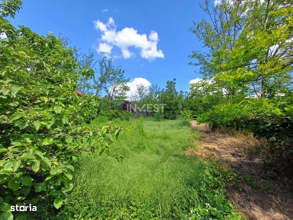 TEREN INTRAVILAN, 602 MP, REDIU - Imagine principală: 3/4