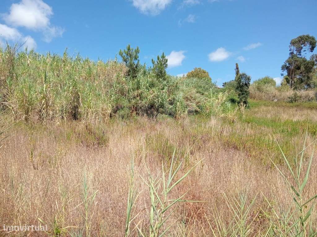 Terreno Rústico com 2280m², para venda, Runa, Torres Vedras-9