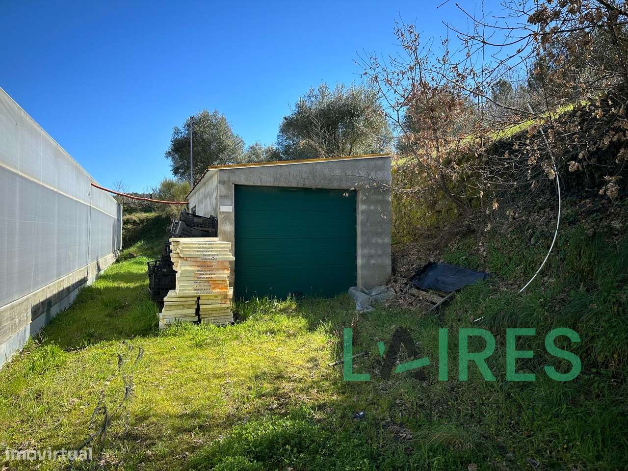 Quinta Agrícola com 3ha-8