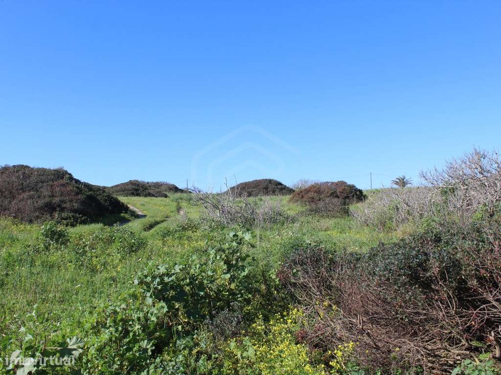 Terreno misto para construção de 2 moradias na falésia da Ponta da ... - Grande imagem: 4/33