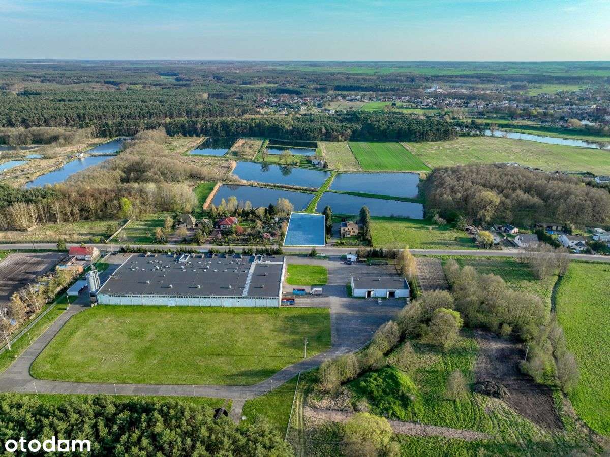 Nietuzinkowa działka w bliskości Puszczy Noteckiej-4