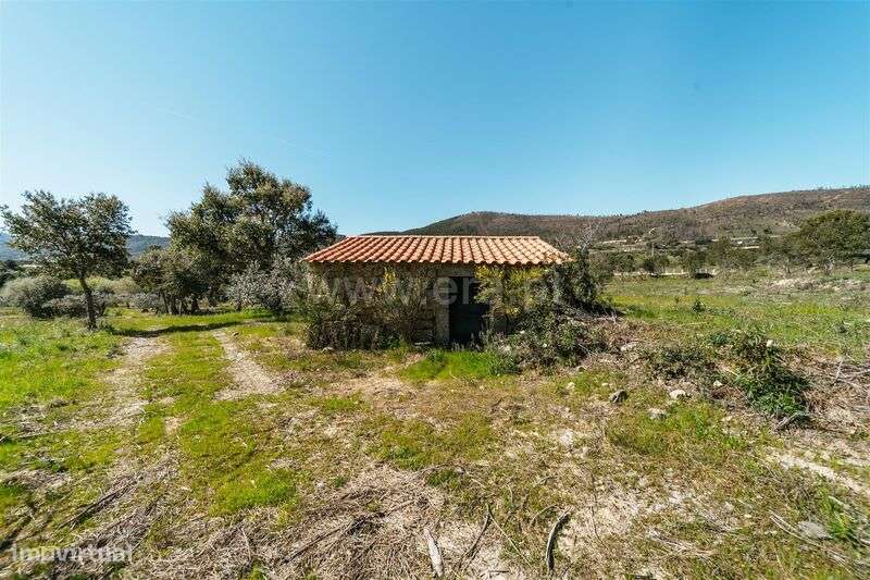 Quinta T1 / Fundão, Monte Leal - Grande imagem: 2/20