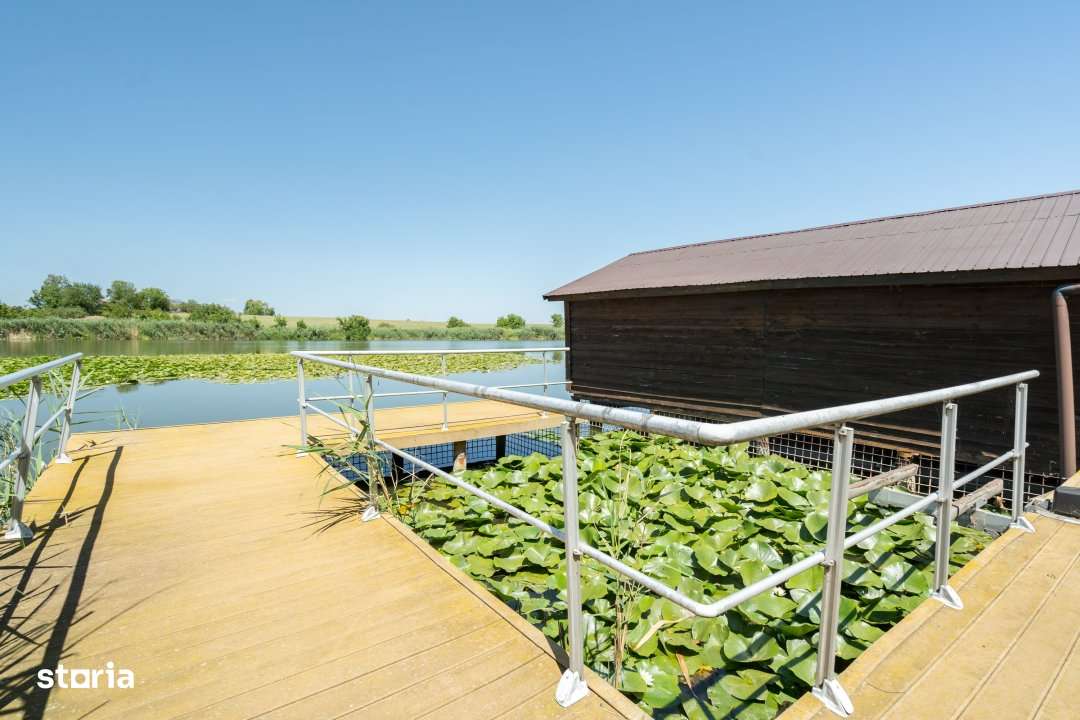 Vila cu piscina pe malul lacului-Snagov -Ciofliceni - Imagine principală: 4/19