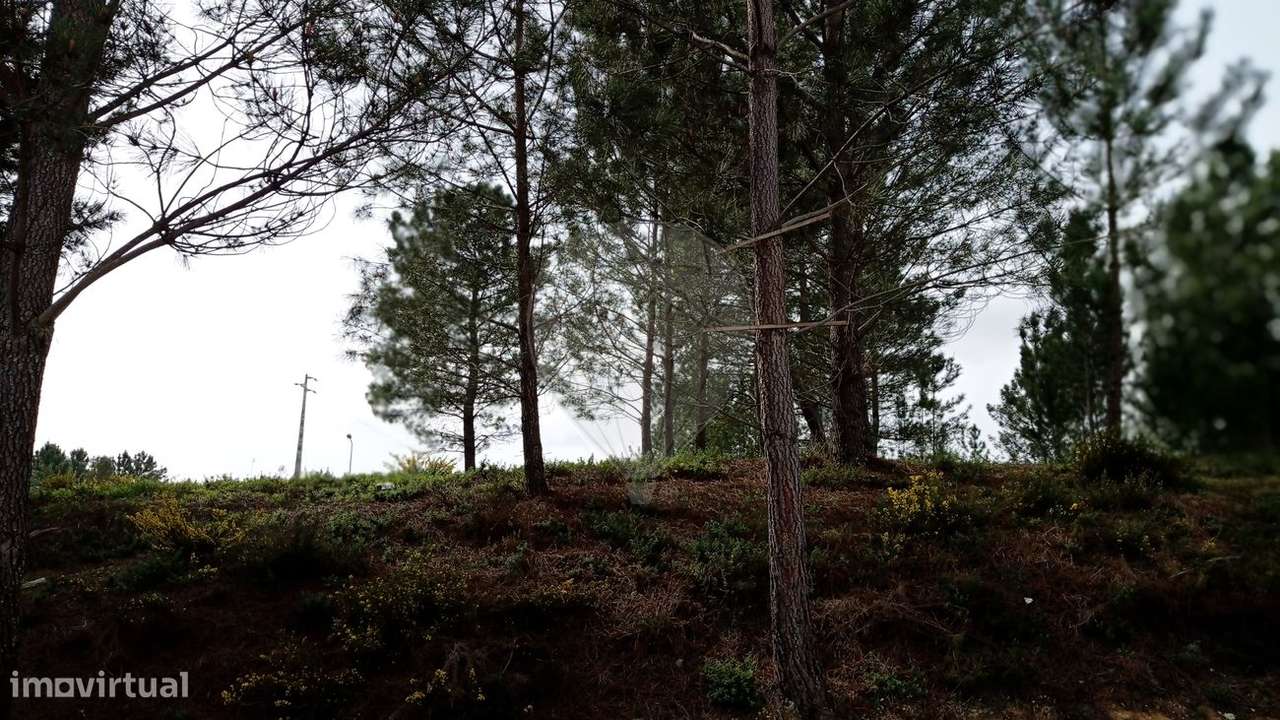 Terreno  para venda - Grande imagem: 1/5