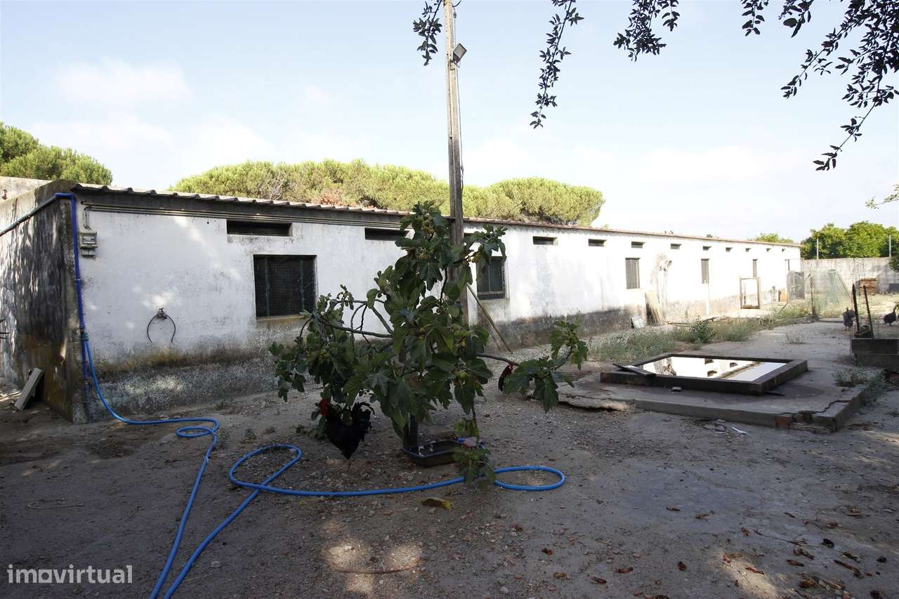 Quinta  Venda em Vendas Novas,Vendas Novas-22