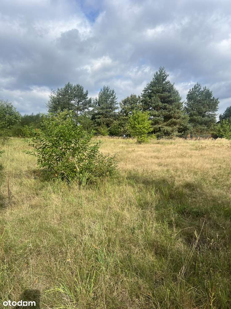 Potępa- piękne działki budowlane przy lesie od 1000m2 do 8000m2-2