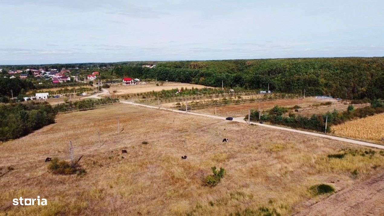 Teren Mosoaia cu potential de dezvoltare - Imagine principală: 2/4